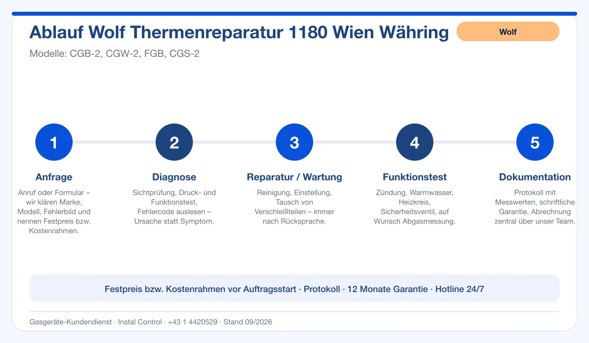 Infografik Ablauf Wolf Thermenreparatur 1180 Wien Währing: Anfrage, Diagnose, Service, Funktionstest, Protokoll