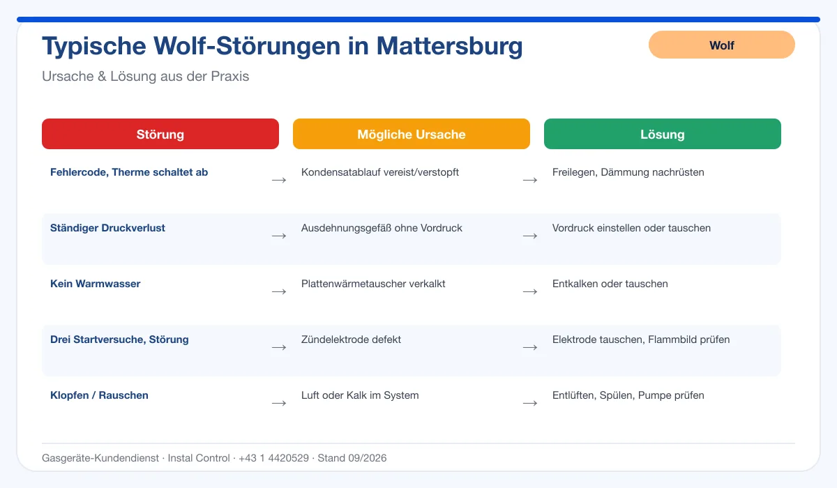 Infografik Wolf Thermenreparatur Mattersburg: typische Störungen, Ursachen und Lösungen