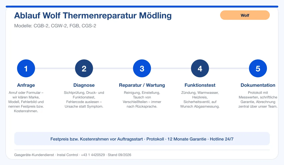 Infografik Ablauf Wolf Thermenreparatur Mödling: Anfrage, Diagnose, Service, Funktionstest, Protokoll