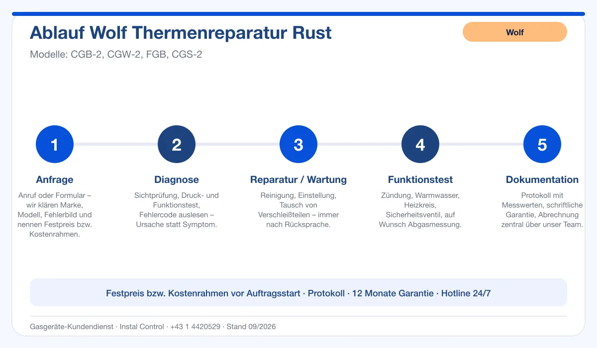 Infografik Ablauf Wolf Thermenreparatur Rust: Anfrage, Diagnose, Service, Funktionstest, Protokoll