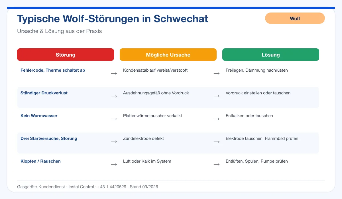 Infografik Wolf Thermenreparatur Schwechat: typische Störungen, Ursachen und Lösungen