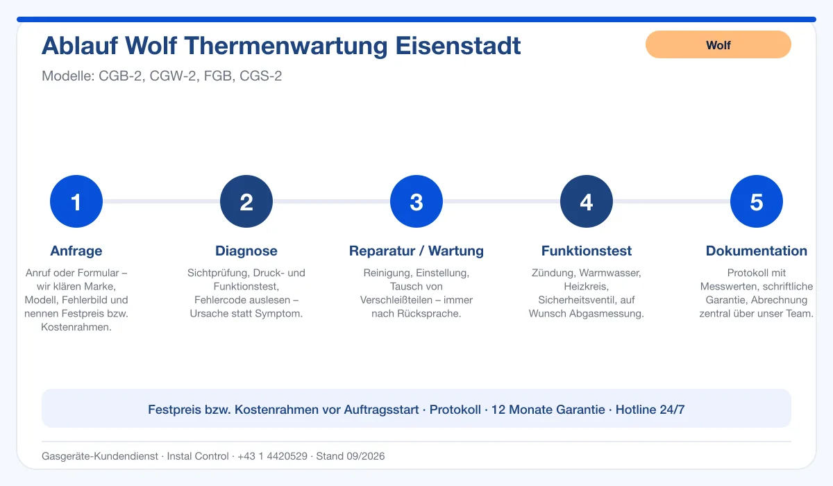 Infografik Ablauf Wolf Thermenwartung Eisenstadt: Anfrage, Diagnose, Service, Funktionstest, Protokoll