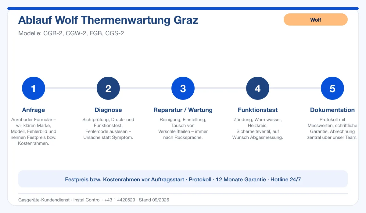Infografik Ablauf Wolf Thermenwartung Graz: Anfrage, Diagnose, Service, Funktionstest, Protokoll
