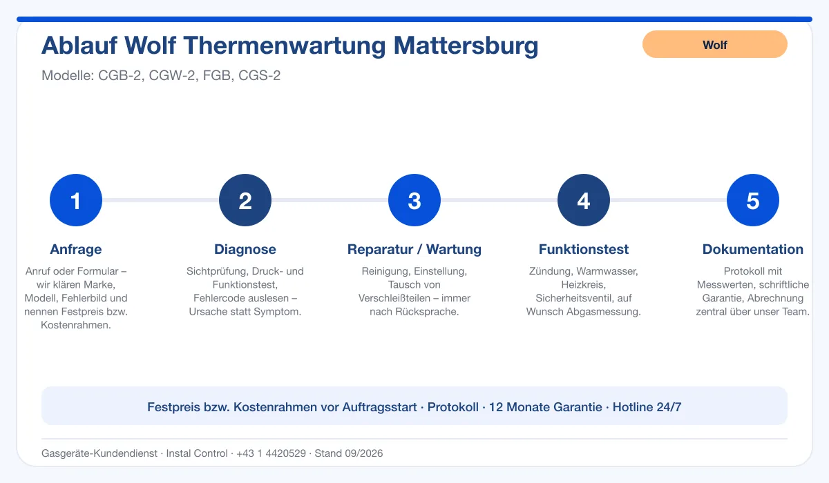 Infografik Ablauf Wolf Thermenwartung Mattersburg: Anfrage, Diagnose, Service, Funktionstest, Protokoll