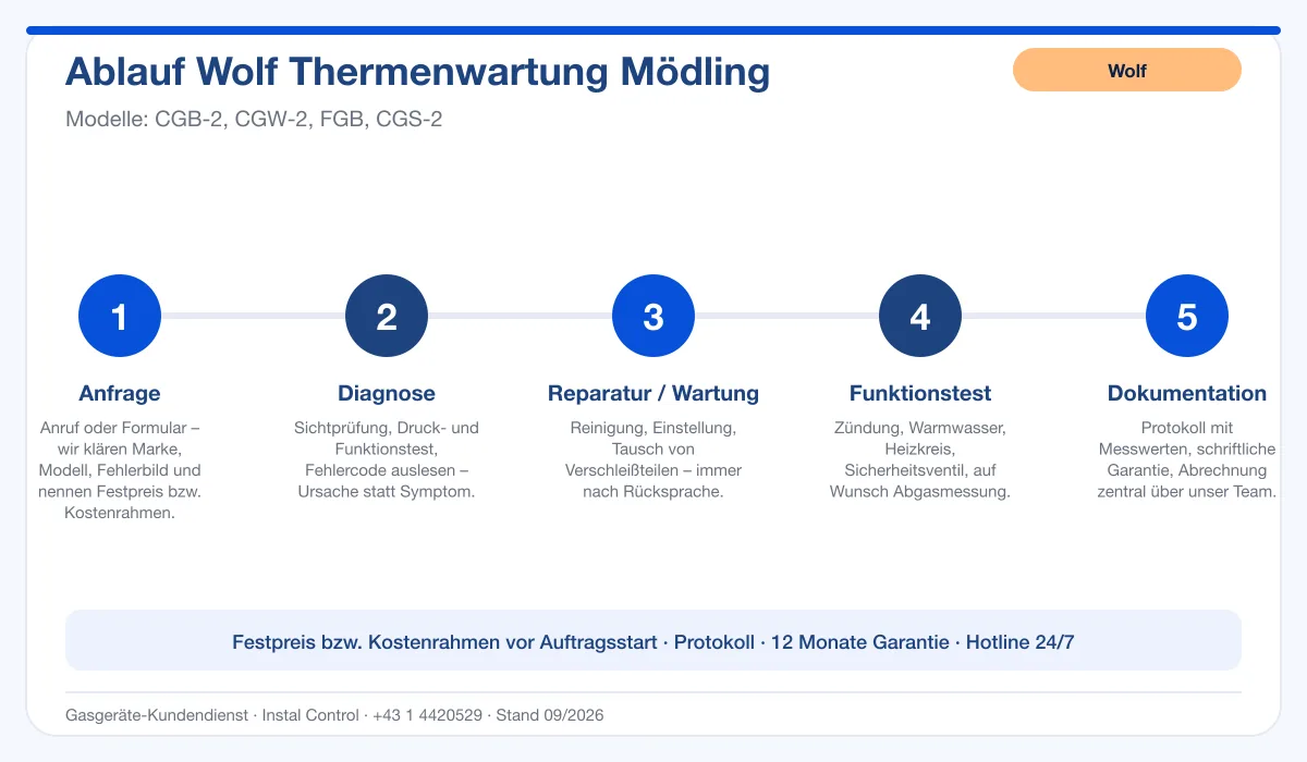Infografik Ablauf Wolf Thermenwartung Mödling: Anfrage, Diagnose, Service, Funktionstest, Protokoll