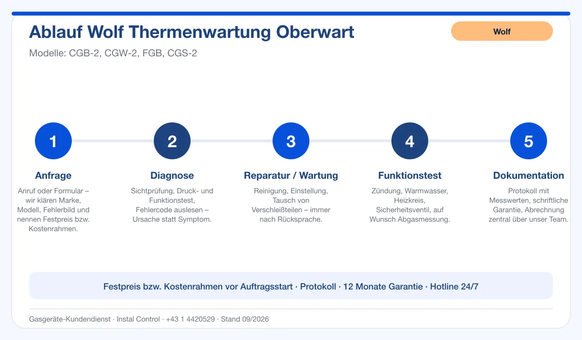 Infografik Ablauf Wolf Thermenwartung Oberwart: Anfrage, Diagnose, Service, Funktionstest, Protokoll