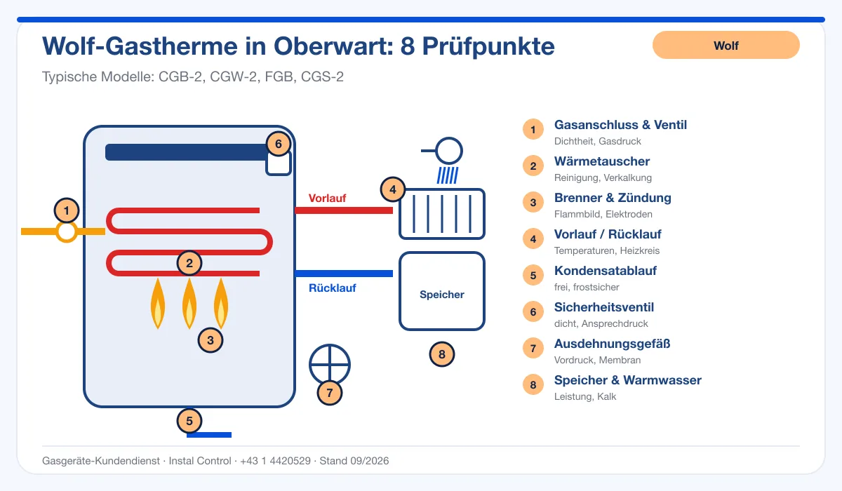 Infografik Wolf Thermenwartung Oberwart: Aufbau einer Wolf-Gastherme mit 8 Prüfpunkten
