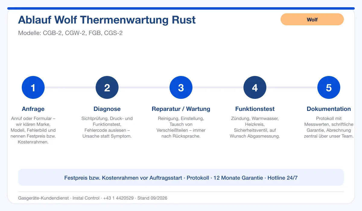 Infografik Ablauf Wolf Thermenwartung Rust: Anfrage, Diagnose, Service, Funktionstest, Protokoll