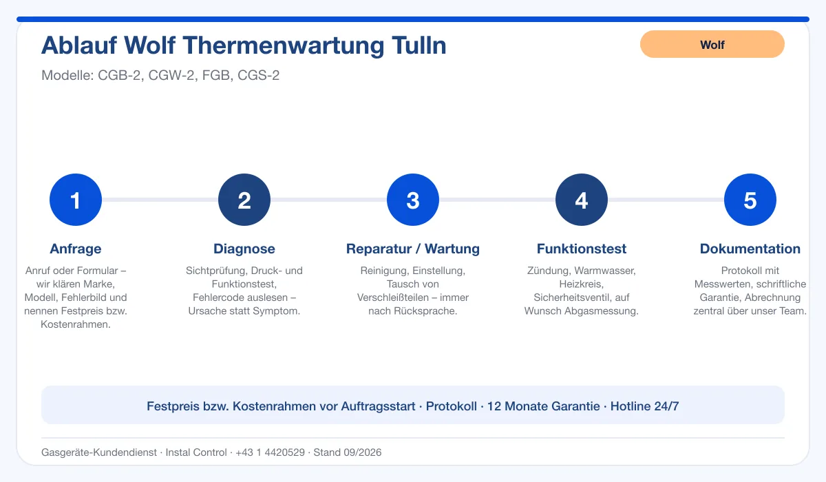 Infografik Ablauf Wolf Thermenwartung Tulln: Anfrage, Diagnose, Service, Funktionstest, Protokoll